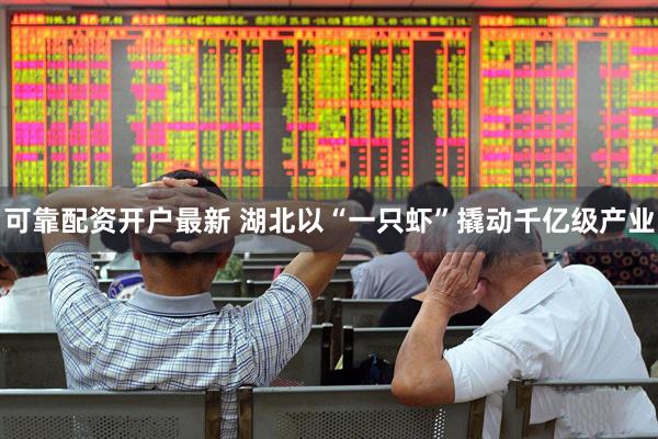 可靠配资开户最新 湖北以“一只虾”撬动千亿级产业